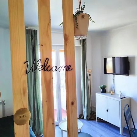 Appartement Cocooning Proche Centre Avec Parking, Climatisation